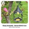 Hanging Bird Feeder Distressed with Tray Sturdy for Gardeners