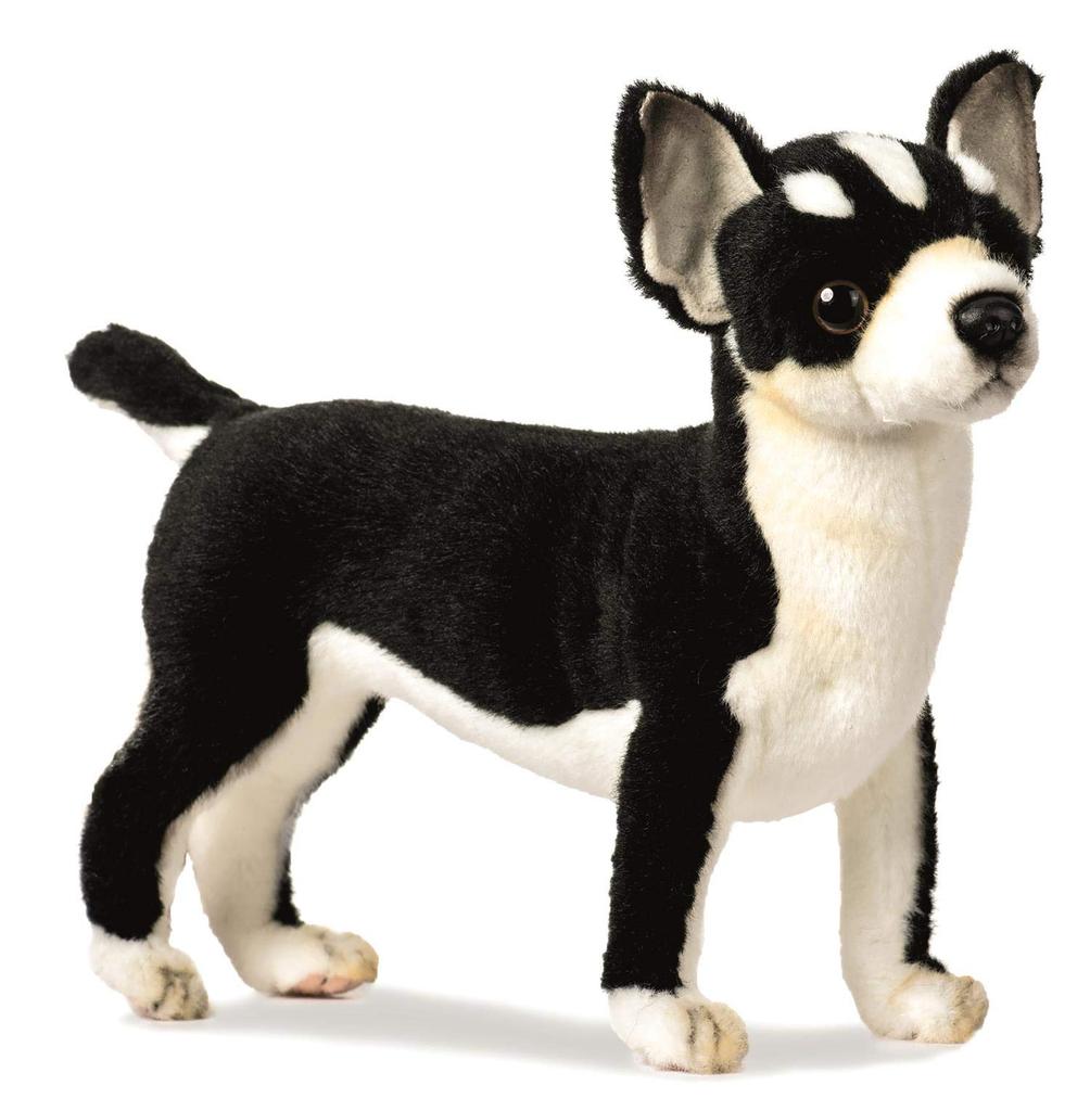 BH6367 HANSA Čivava 27