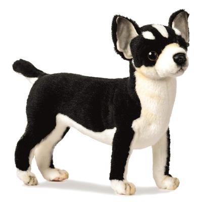 BH6367 HANSA Chihuahua 27
