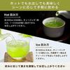 Arahataen Tea Pack Green Bag Deep Steamed 2.5g100 pieces2 Large Capacity Shizuoka Cold Brew