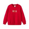 Parte superior (Meninos a partir de 4 anos) – Camisolas e sweatshirts