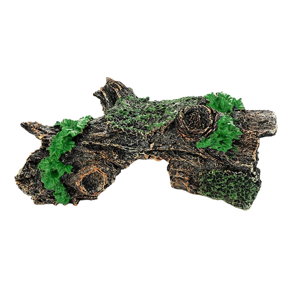 Aquarium Driftwood Tree Root Hideout for Fish & Shrimp, Natural Durable & Corrosion Resistant, Suitable for Freshwater & Saltwater Tanks