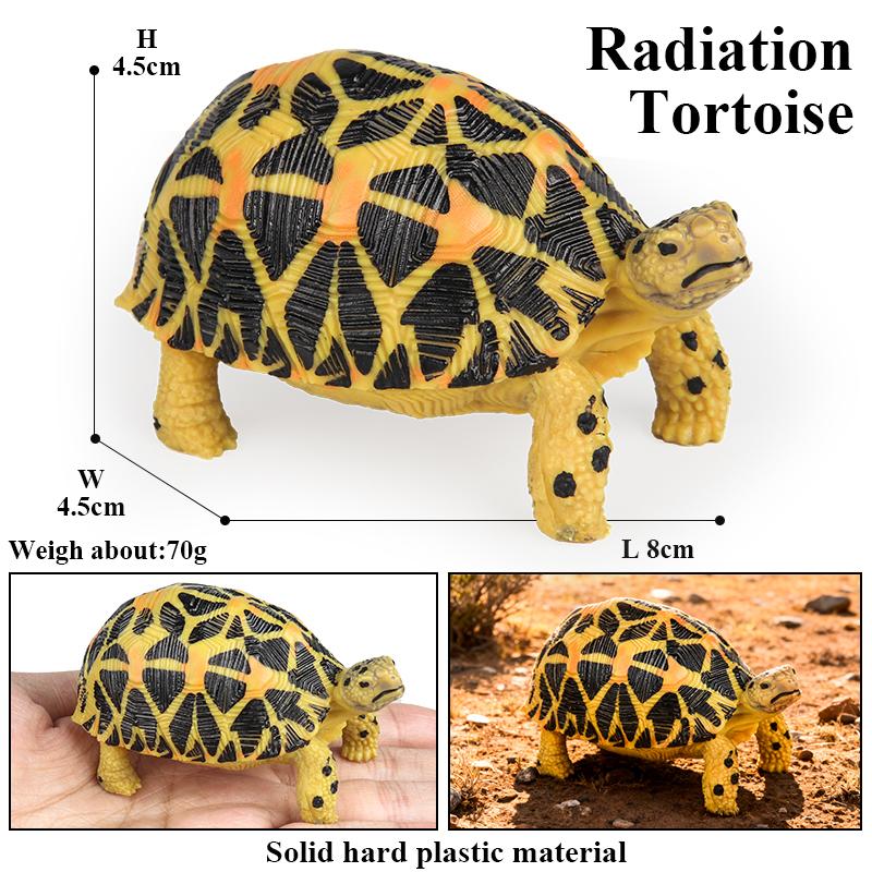 Oenux Reptile Animals Star Turtle Tortoise Geochelone Model Figurines Action Figures PVC Ornament Education Kid Toy Gift