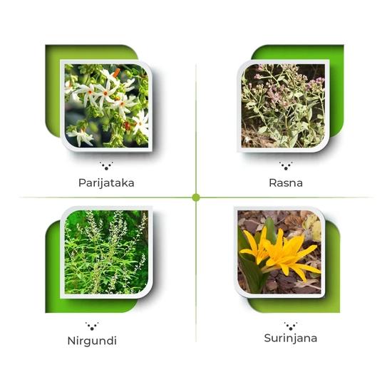 Arthrum Capsules (100 Capsules) – Ayurvedic Support for Joint Health