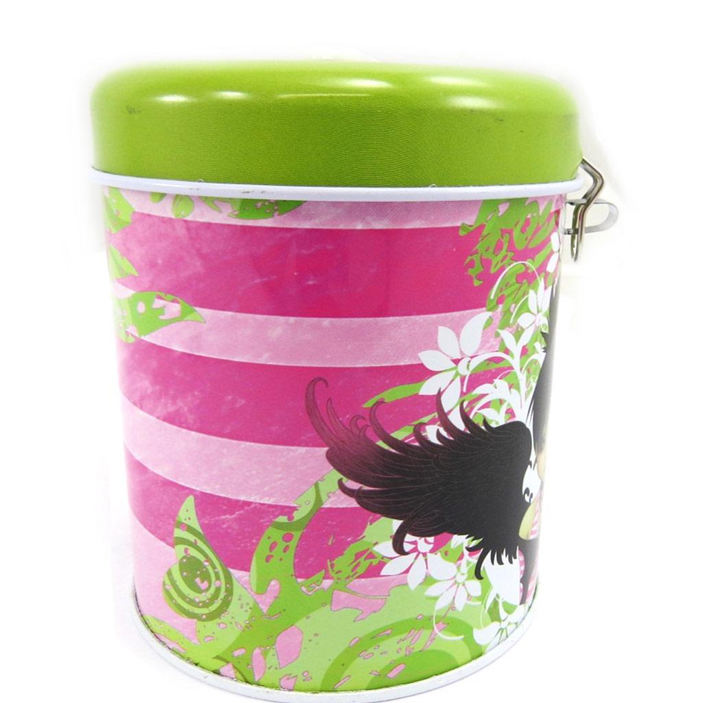 Les Trésors De Lily [L6877] - Green 'Fairy Dreams' Metal Piggy Bank