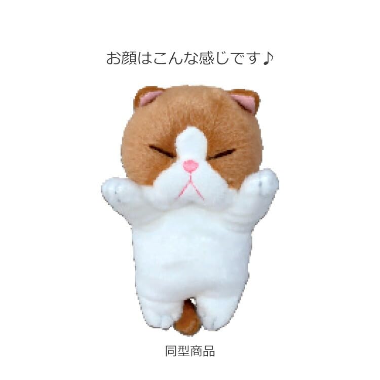 Naitou Design Laboratory (Naitou Design) A cat like a bou, lying face down, Hachibou, stuffed toy, sorry sleeping cat