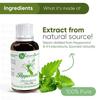 Naturalis Peppermint Essential Oil - Pure Therapeutic Grade Peppermint Oil For Hair, Skin Care, Steaming, Diffuser - 30Ml