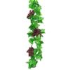 Vite Artificiale Vite d'Uva Vite d'Uva Fruttata Nuovissimo