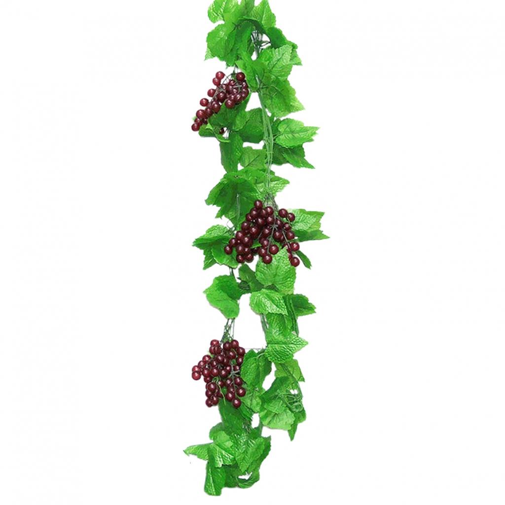 Vite Artificiale Vite d'Uva Vite d'Uva Fruttata Nuovissimo