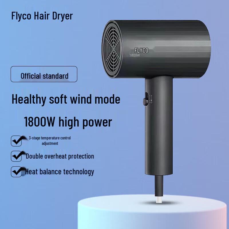FLYCO FH6297 1800W Negative Ion Hair Dryer CN plug (adapter included)