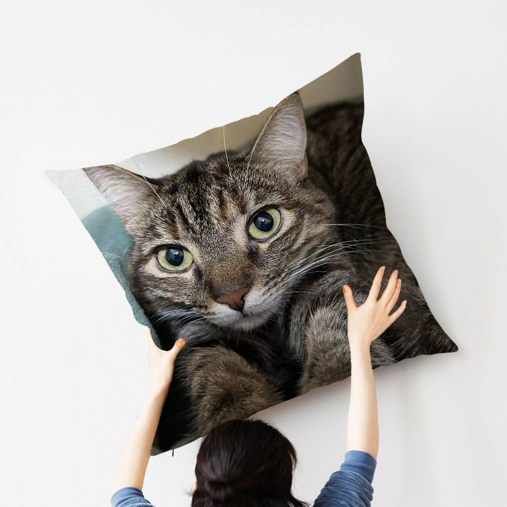 Cat Cute Kitten Stitch Lucky Dragon pillow cover sofa cushion cover home room decoration children gift