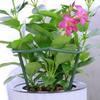 4-32Pcs 14*14cm Plastic Plant Support Pile Stand Plant Support Pile for Flowers Greenhouses Arrangement Fixing Rod Holder Garden Tools