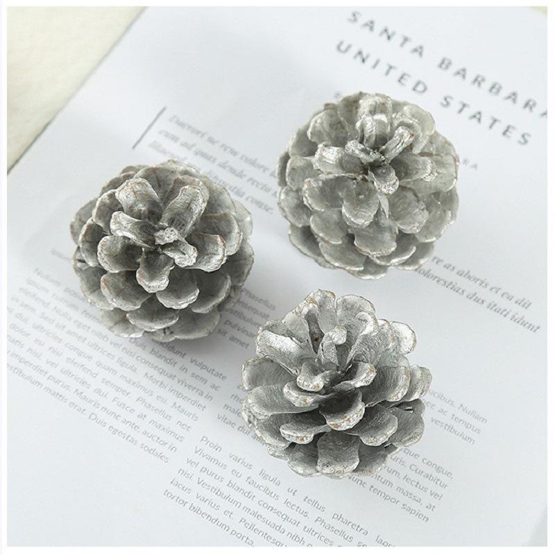 Kiefernzapfen Weihnachtsdekoration: Kiefernzapfen & Trockenblumen DIY Set