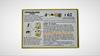 READY, SET, EIGO! Card Game - A Fun Way To Learn English (128 Cards Included) (LEVEL 1 (original Game))