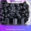 Dried Blueberries 500g - New Stock for Baking, Candied Snacks & Tea.