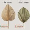 Fresh 4 Pieces Natural Dried Palm Leaves Home Furnishing Palm Leaves Perfect For Palm Leaf Decor, Boho Decor, Home Decor, Weddin
