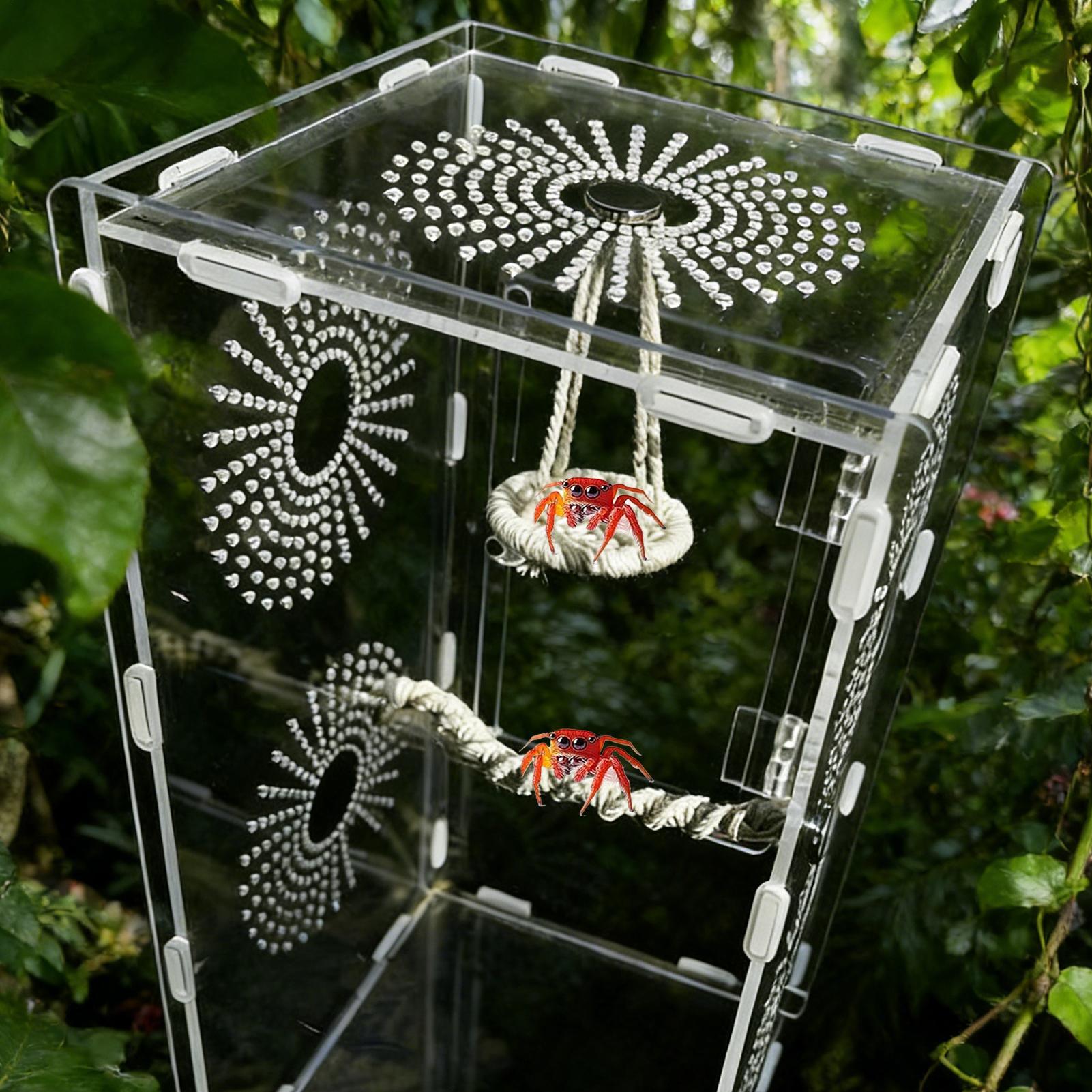 

Jumping Spider Enclosure Accessories Hangable Rope Climbing Swing Jumping Spider Terrarium Decor For Tree Frogs Hermit Crabs China Mainland