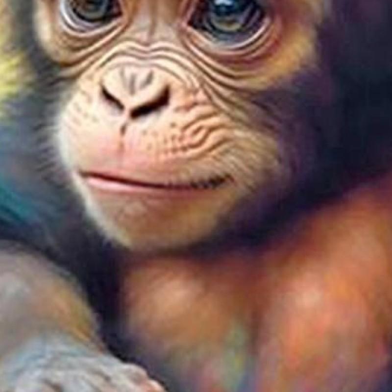 5D DIY Full Round Drill Diamond Painting Little Monkey Home Decor Art Craft