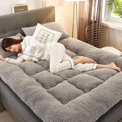 Lamb Wool Home Mattress Winter Thickened Warm Tatami Plush Cushion Bedroom Dormitory Hotel Single and Double People Padded Quilt