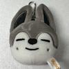 [USED] Stray Kids Bang Chan Wolf Chan Mini Face Key Ring