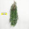 Artificial Spider Plant & Fern Hanging Decor - Trailing Green Vines for Wall & Ceiling