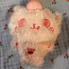 Color Wishdoll Pink Kuri Riku