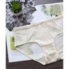 Underwear Mesh Women Low Waist Briefs Breathable Comfortable Panties Female