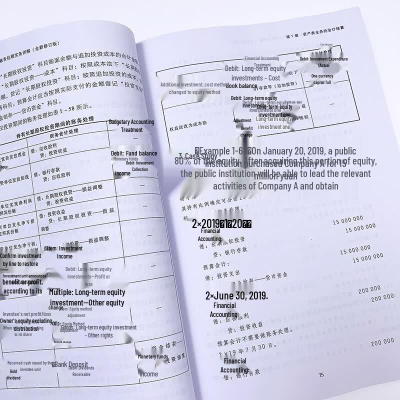 Government Accounting System Practical Guide