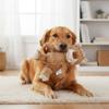 Bear Dog Toys Interactive Bear Dog Squeak Chew Toy Unbreakable Squeaky Toys for Aggressive Chewers