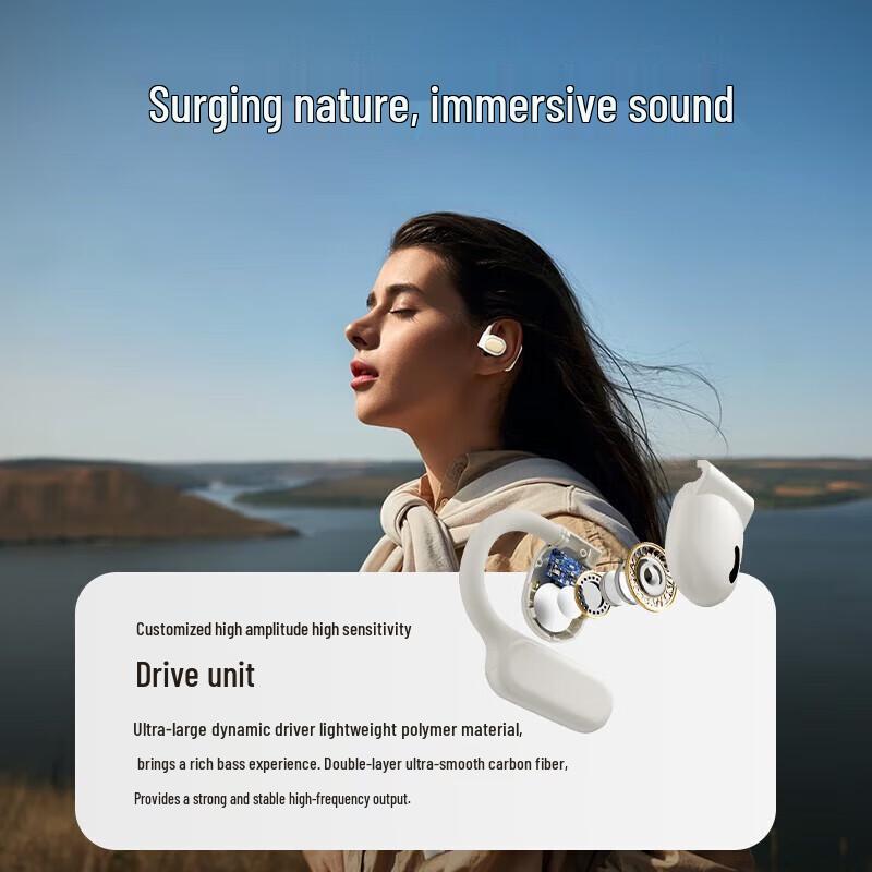 BIAZE D71 Wireless Sport Earbuds