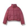 New cotton clothes women's short versatile stand-up collar small thickened cotton-padded jacket