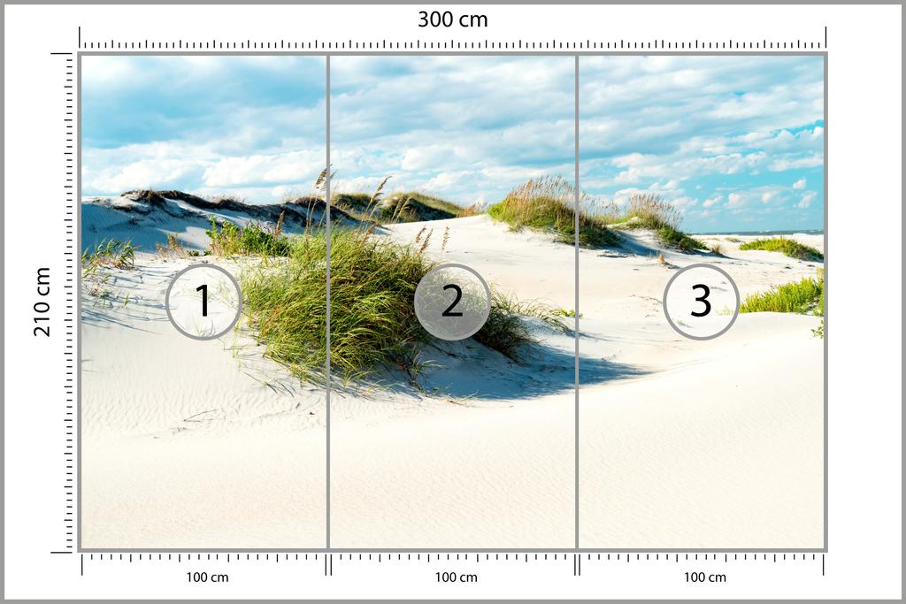 Fototapete Nachmittag in den Dünen Iq-1208-A Waschbares Vlies 300x210