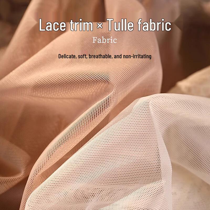 FitonTon Women's 2-Pack Sexy French Lace Sheer Briefs