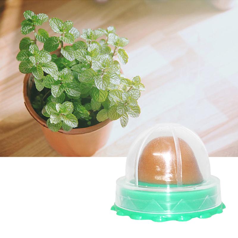 Cat Round Catnip Ball With Dust Cover Sticker Design Cat Candy Snacks Nutrition Food Pet Supplies