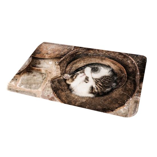 Door Mat Anti-slip 3D Coral Velvet Cat Dog Pattern Floor Mat for Bedroom Door