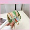 Fashionable Color Block Shoulder Bag 2023 New Trend Street Style Chain Simple Crossbody