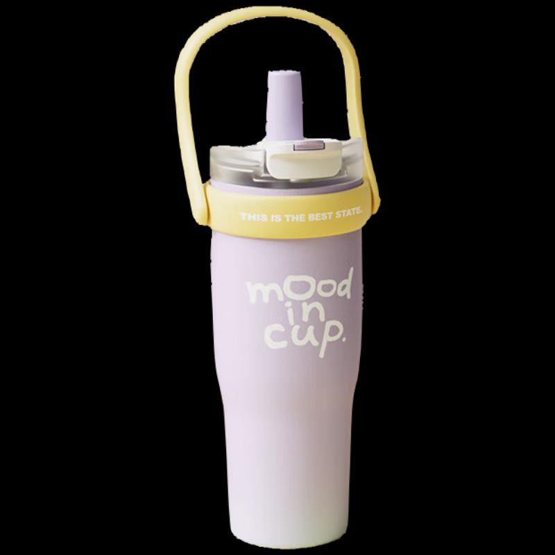 Wushengwu Jumbo Insulated Straw Tumbler