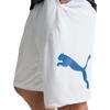 Puma Train All Day Cat Training Shorts Dry Comfortable Soft Breathable Loose Elastic Waist Five Point Casual Shorts Men Shorts 586278-95