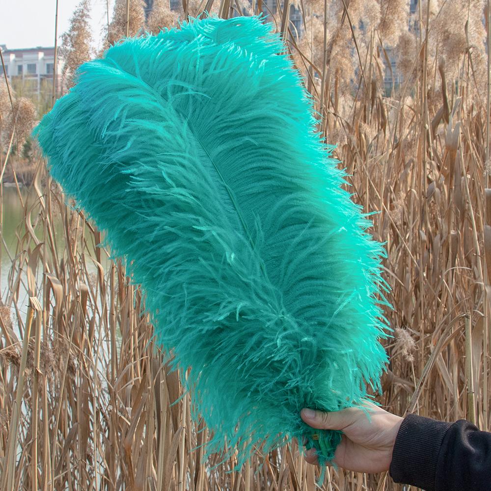10 buc Pene Naturale de Struț Vrac 15-50cm Pană pentru Meșteșuguri pentru Petrecere Nuntă Decor Acasă Centrul Mesei Decorare Bijuterii