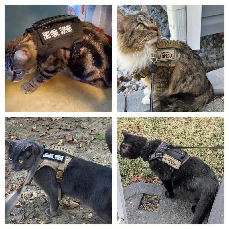 Tactical Pet Chest Harness with Traction Rope Set Universal Anti Slip for Cats and Dogs Paired with Personalized