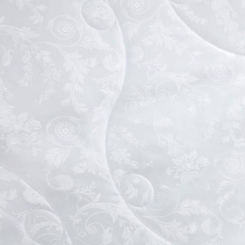 Fuanna Jacquard Mulberry Silk Spring/Autumn Quilt