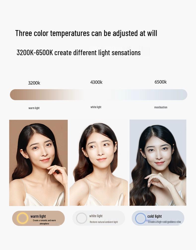 300W LED Studio Photography Light with Deep Parabolic Softbox