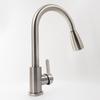 Hesdige Kitchen Retractable Pull-Out Faucet