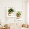 Contemporary Wall Flower Shelf White Metal Plant Display For Inside Outside Area deck 1 Piece