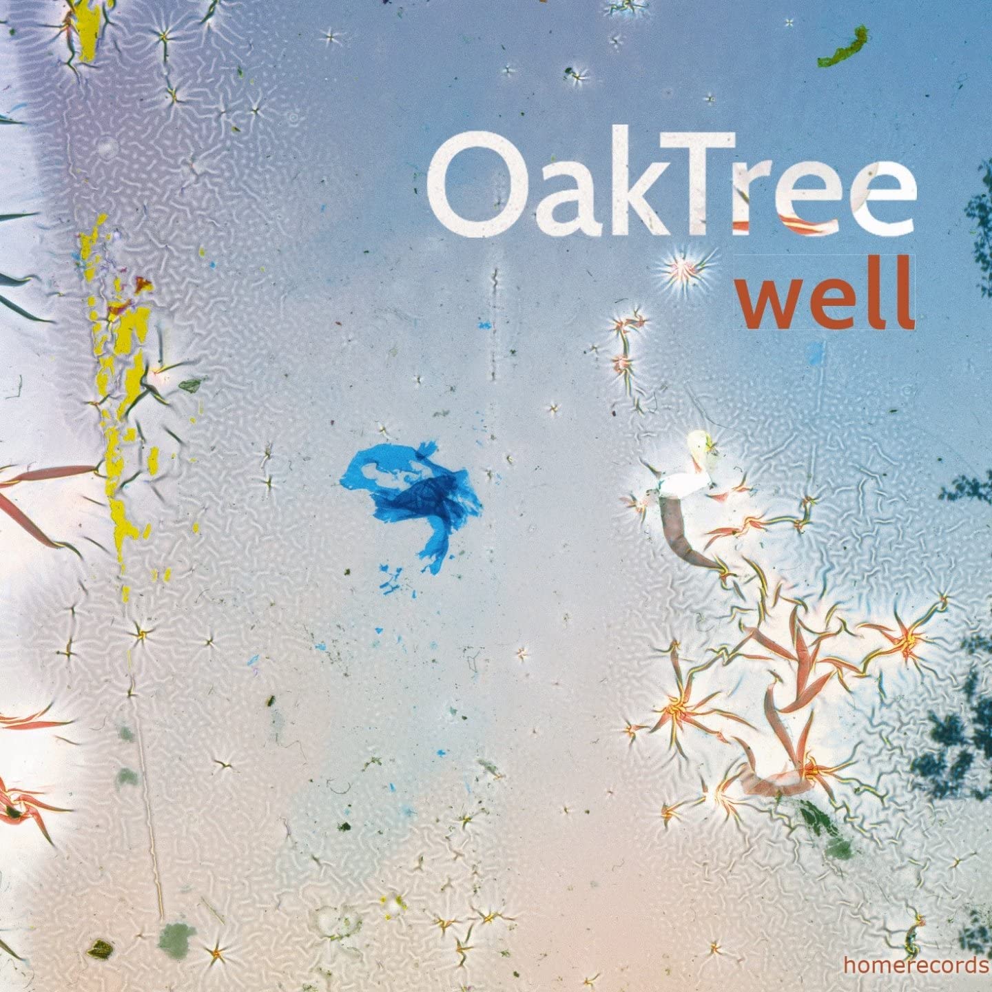 

CD OAK TREE - Well Japan Music Others Used