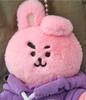 [USED] Line Friends BT21 COOKY Petit Cloth Jet Doll Key Ring