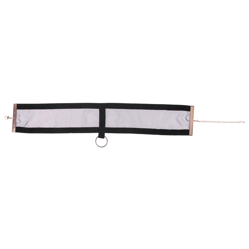Sportsheets - Sex & Mischief Collar With Carabiner