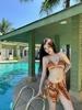 Vintage pure desire babes three-point bikini Bikini split skirt three-piece casual swimsuit women's swimwear