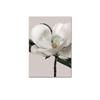 Bohemia Beach Flower Landscape Scandinavian Aesthetic Canvas  Posters Prints Wall Art Picture For Living Room Decoration