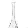 Elegant Glass Vase for Plant Propagation And Floral Display